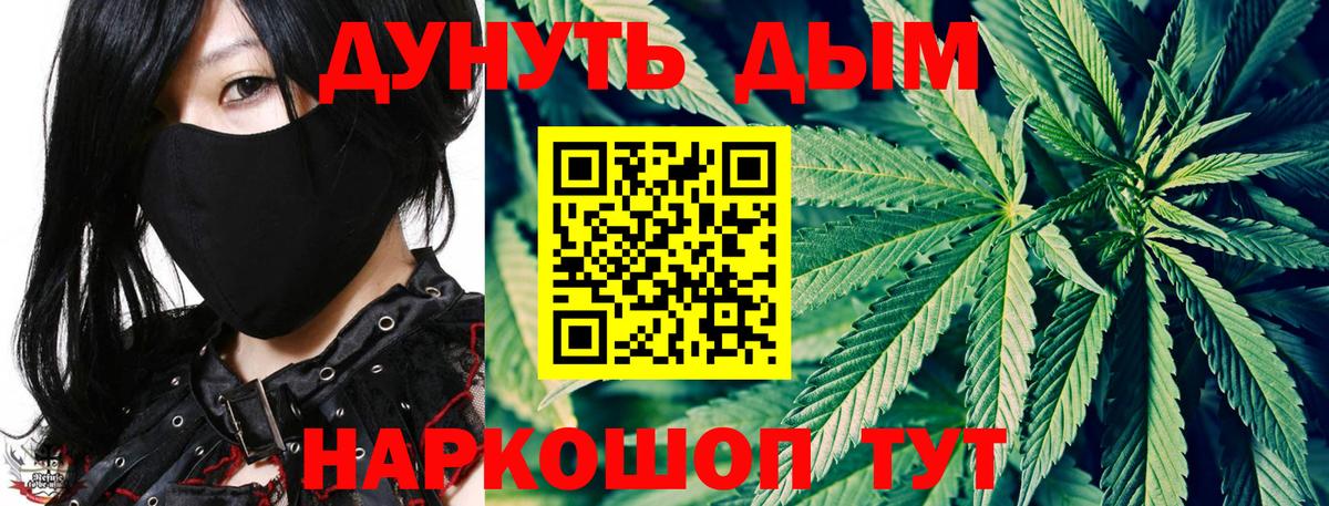 Марихуана ГИДРОПОН  Вход с VPN  Конопля Bruce Banner  Отрадное  Конопля планчик  МАРИХУАНА Bruce Banner 